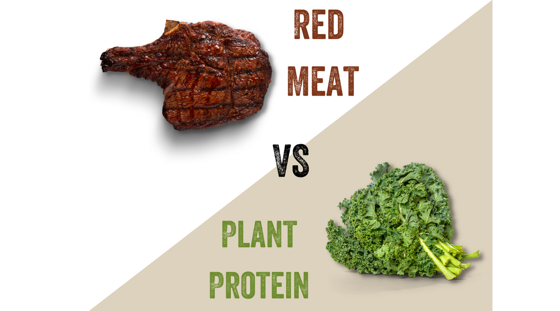 What is the Best Source of Protein?